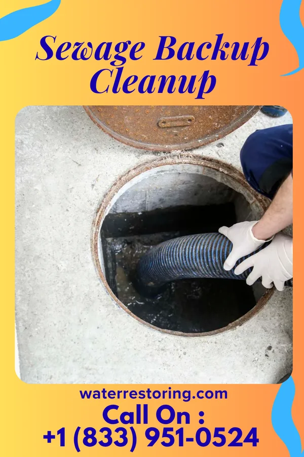 Sewage Backup Cleanup in Pulaski, TN