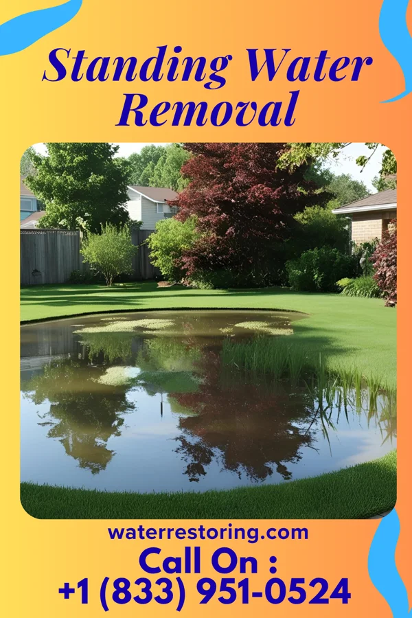 Standing Water Removal in Pulaski, TN
